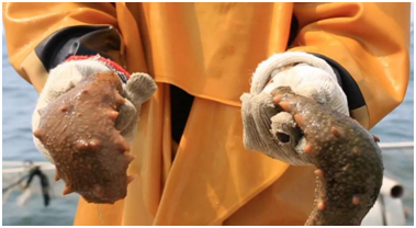 202105310845093721.png 202105310845093721.png