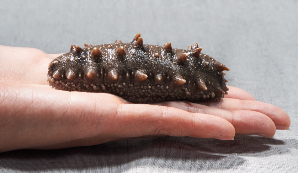 202108201326083104.png 202108201326083104.png